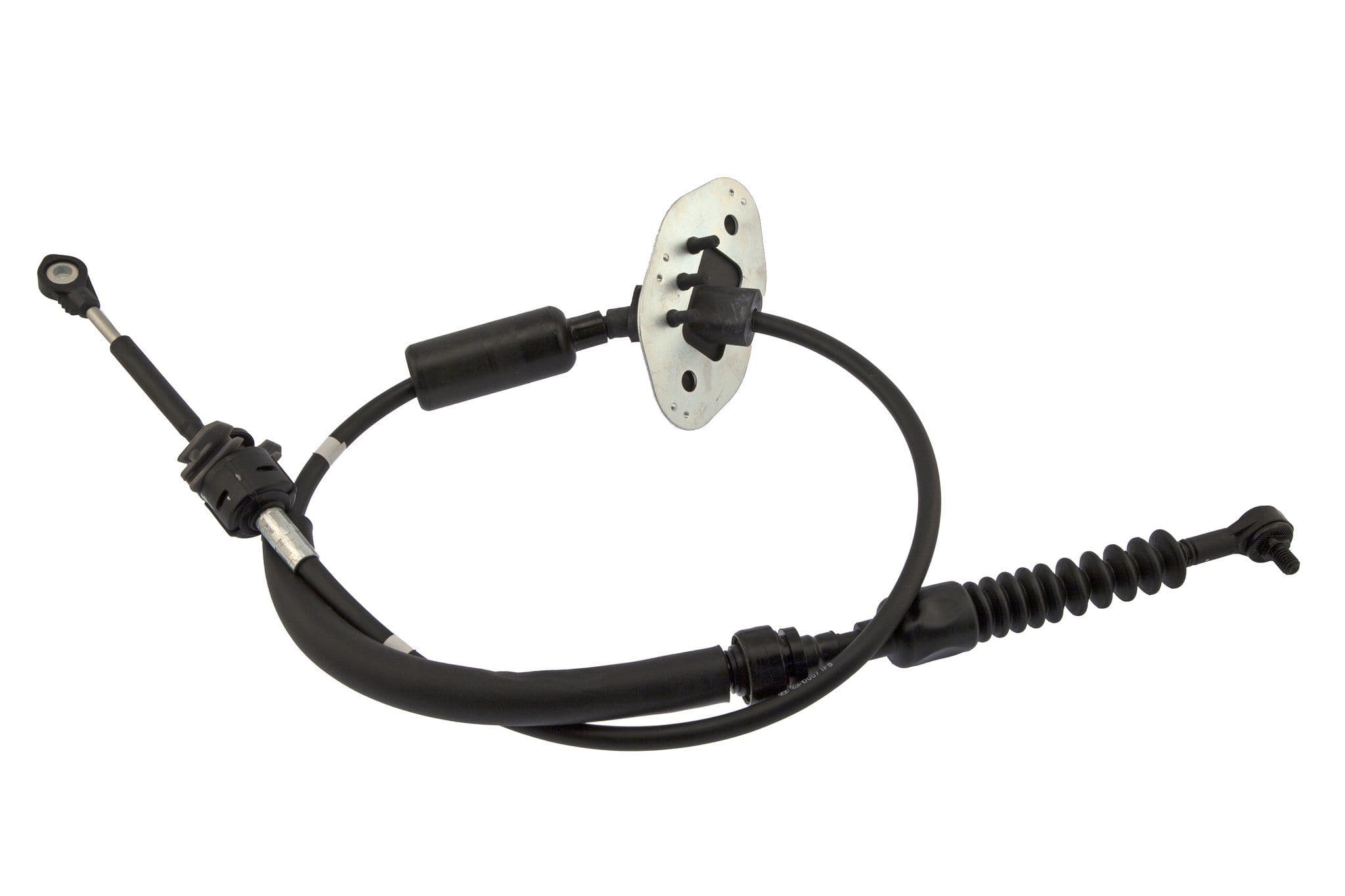 305-922-0206 - Image 2