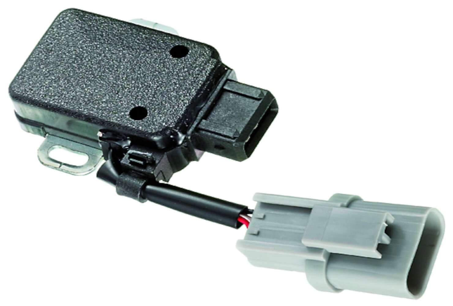 261-10.5019 - Image 2