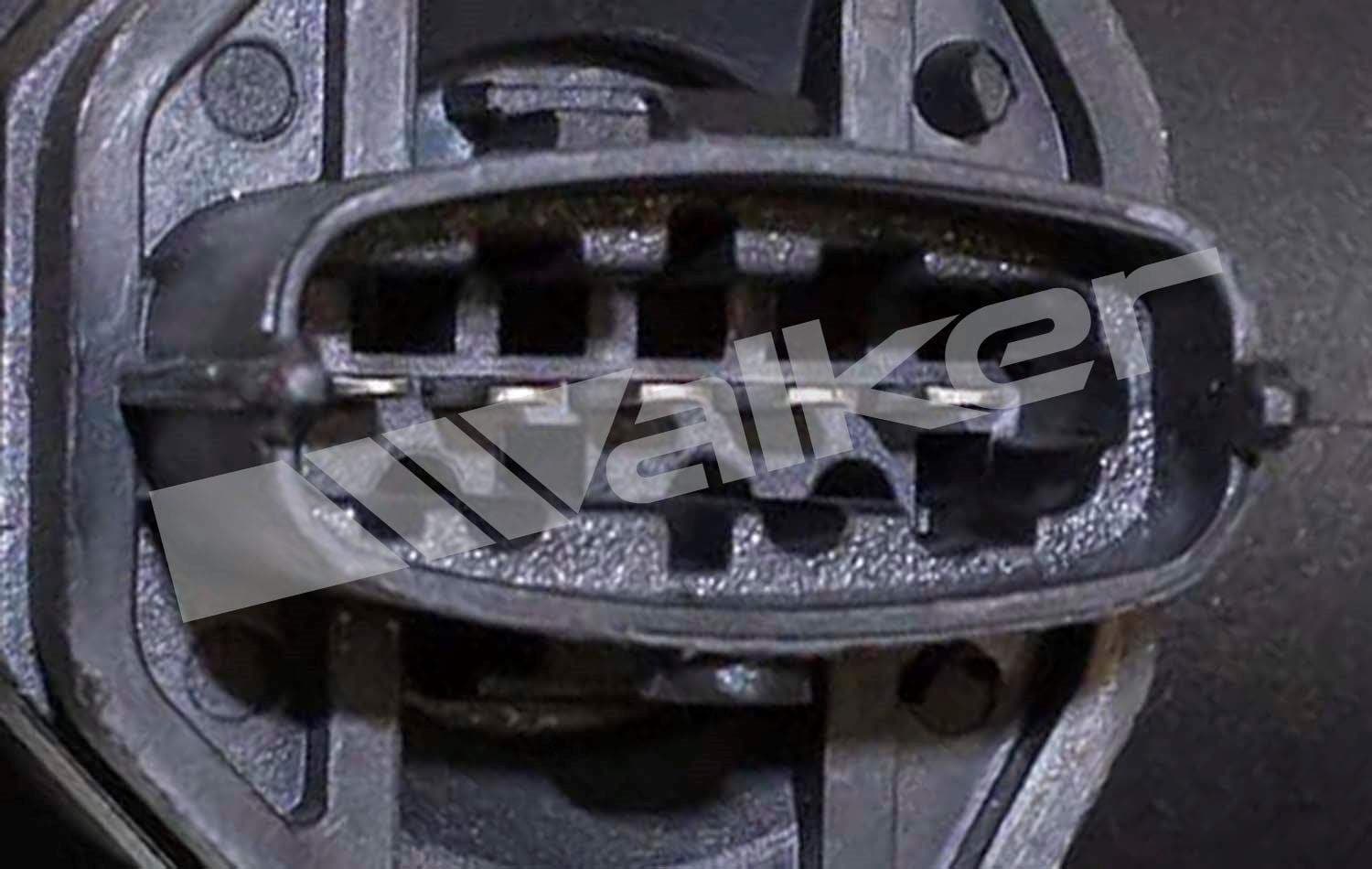 226-245-1111 - Image 4