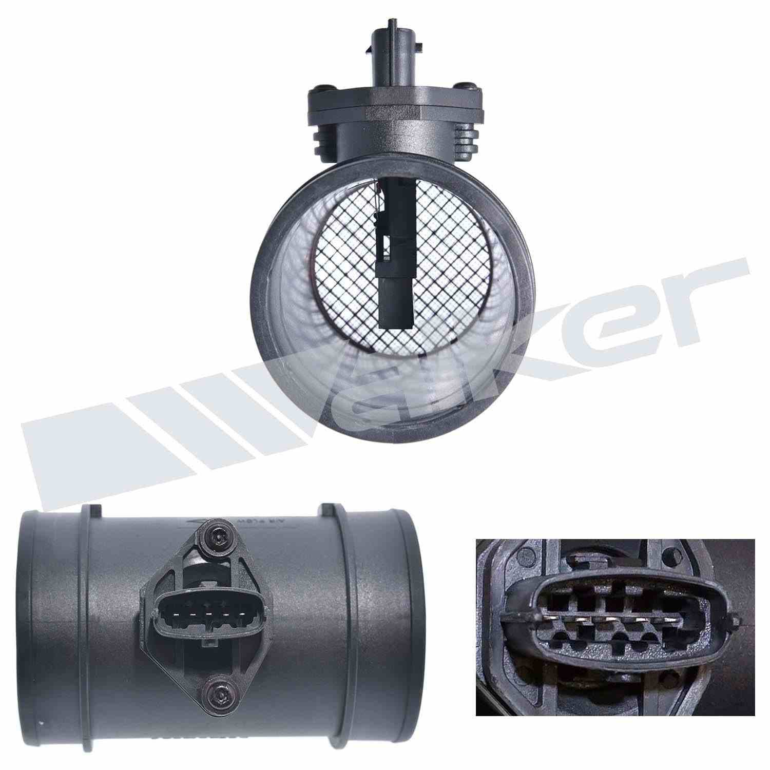 226-245-1111 - Image 2