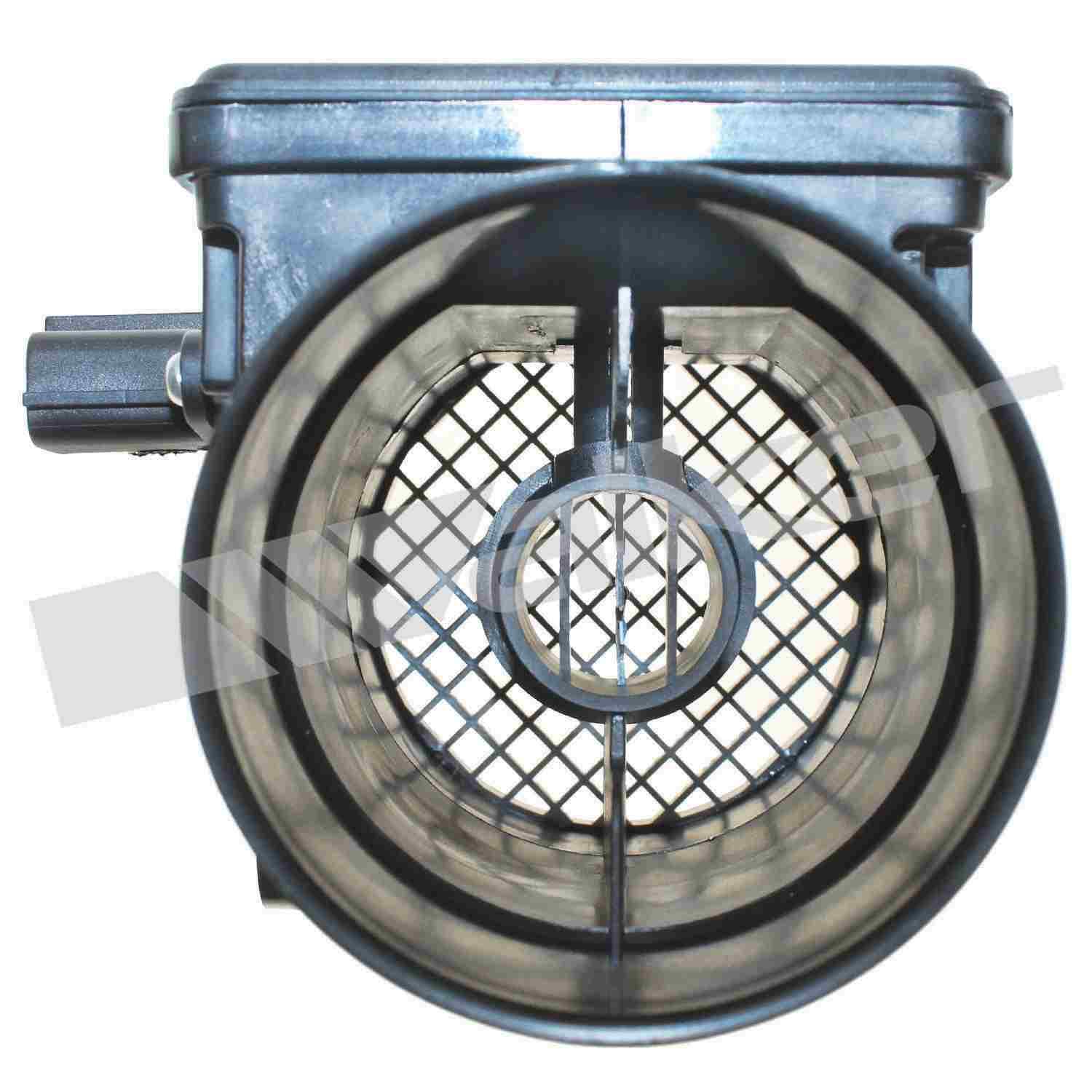 226-245-1155 - Image 4