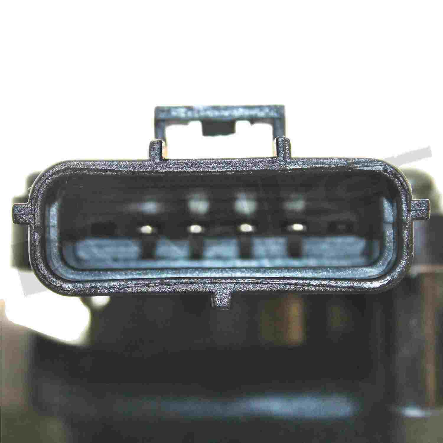 226-245-1191 - Image 3