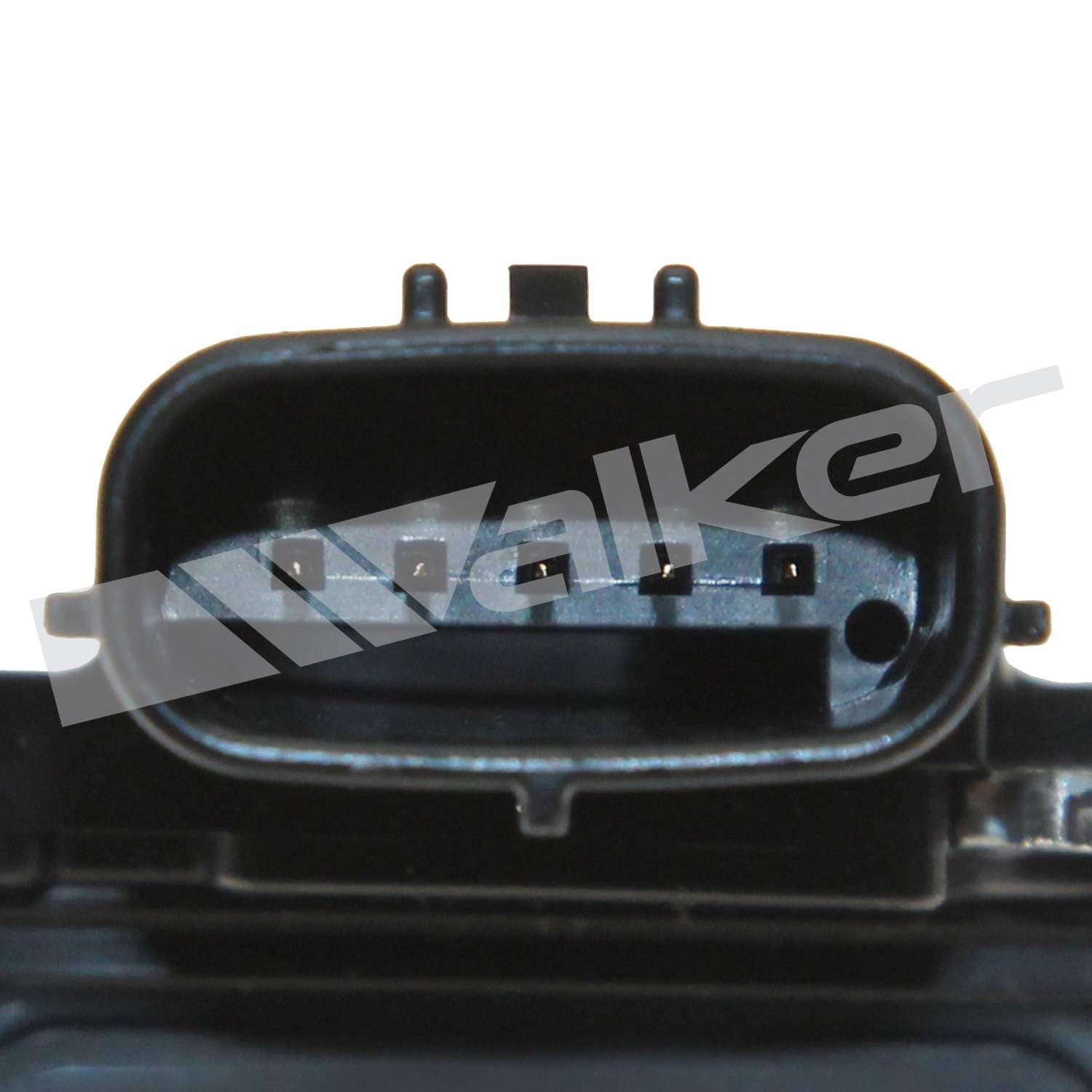 226-245-1431 - Image 3