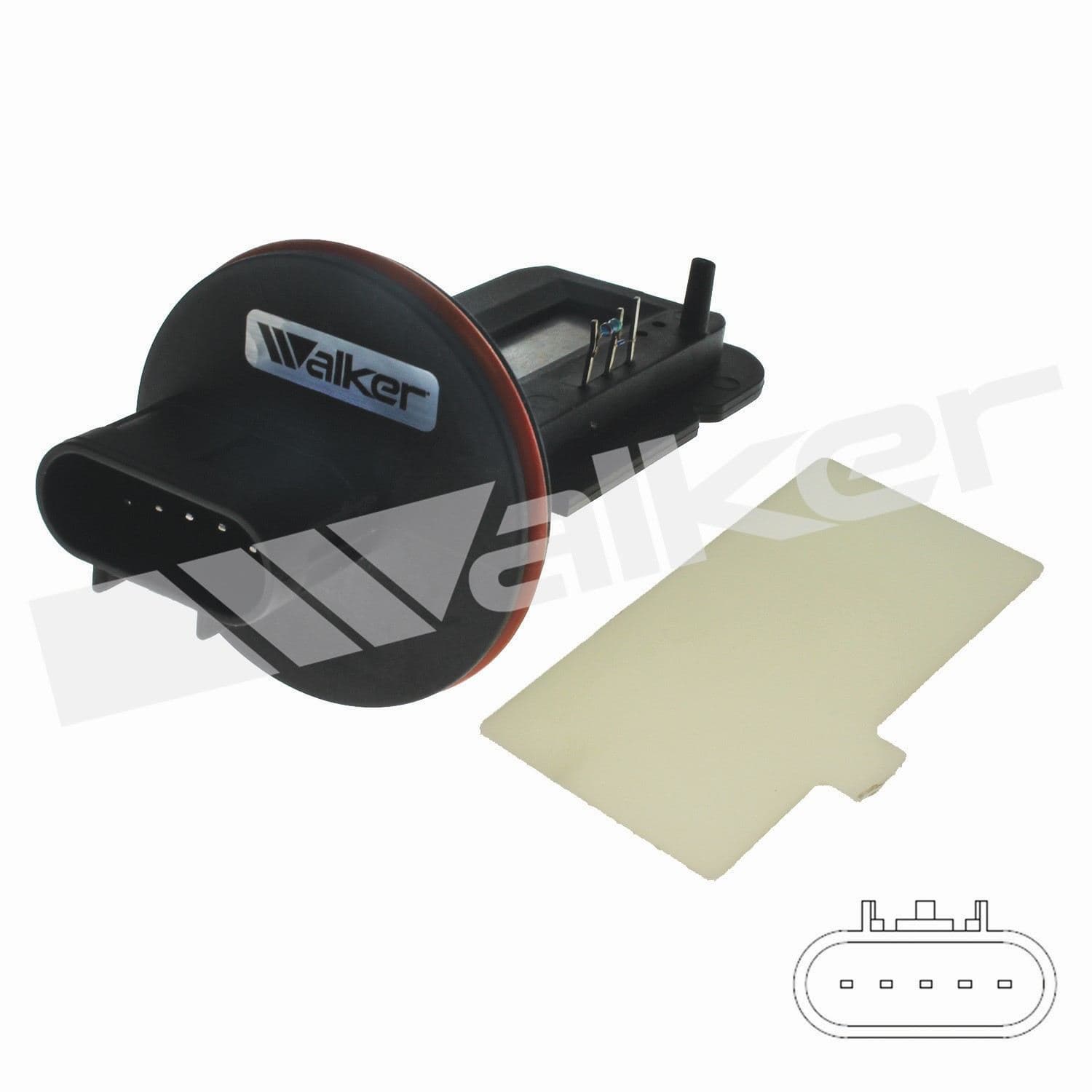 226-245-2131 - Image 4