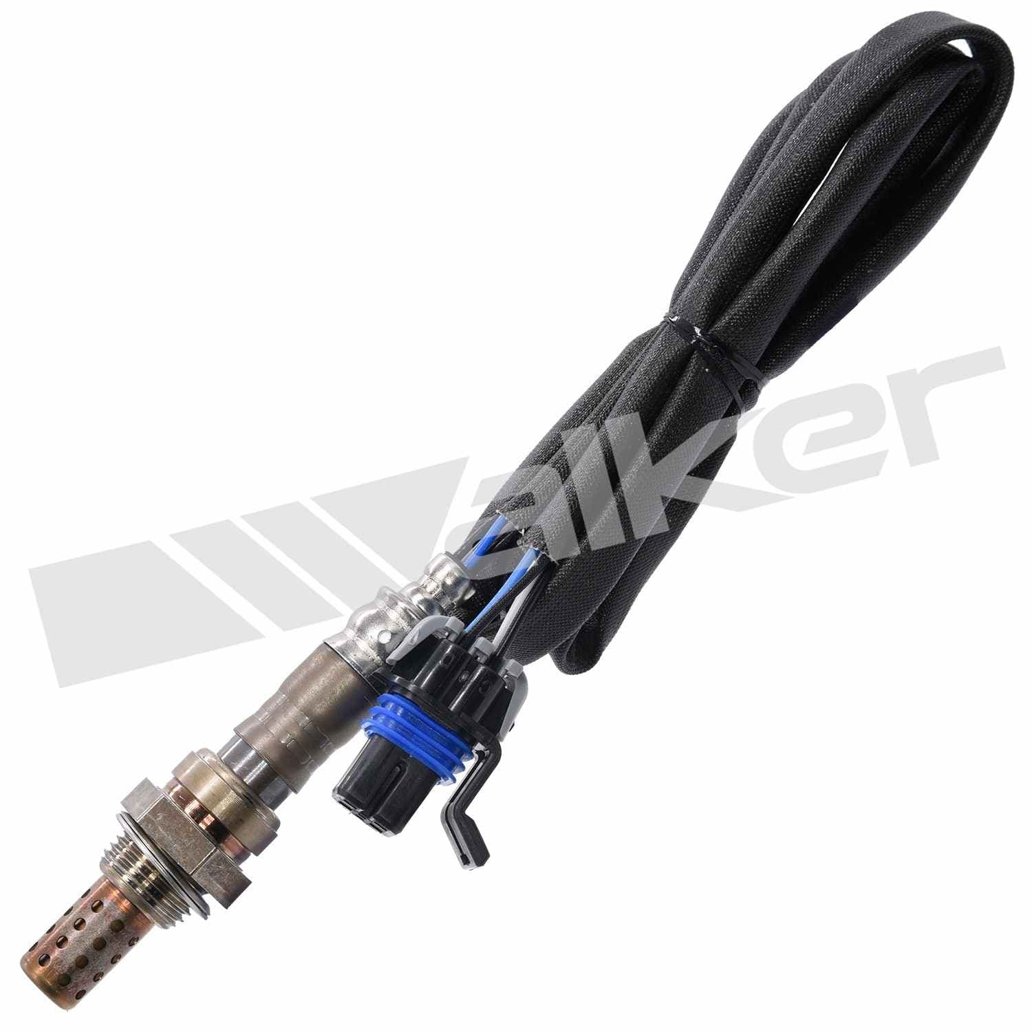 226-250-24617 - Image 2