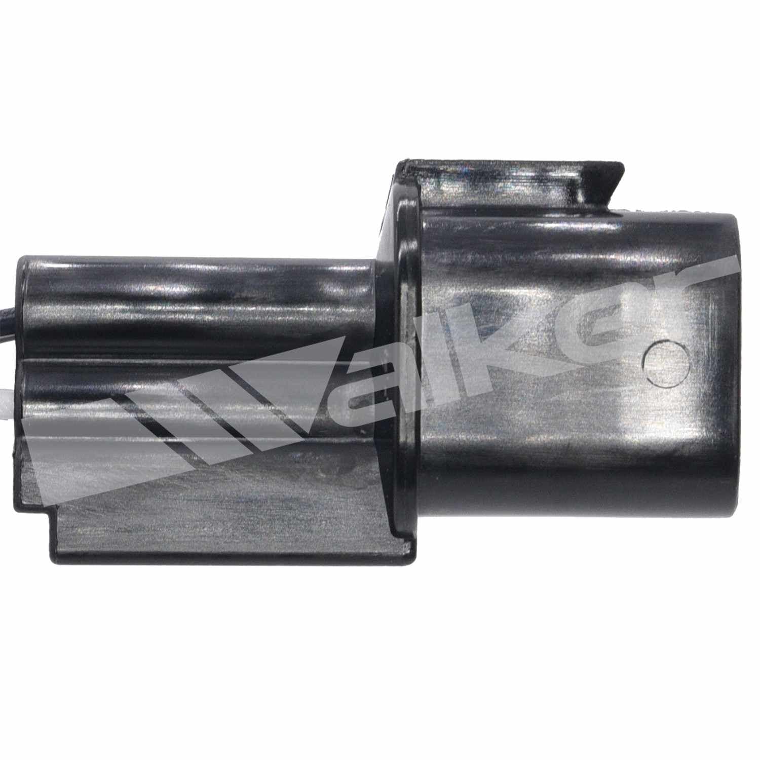 226-250-24916 - Image 2