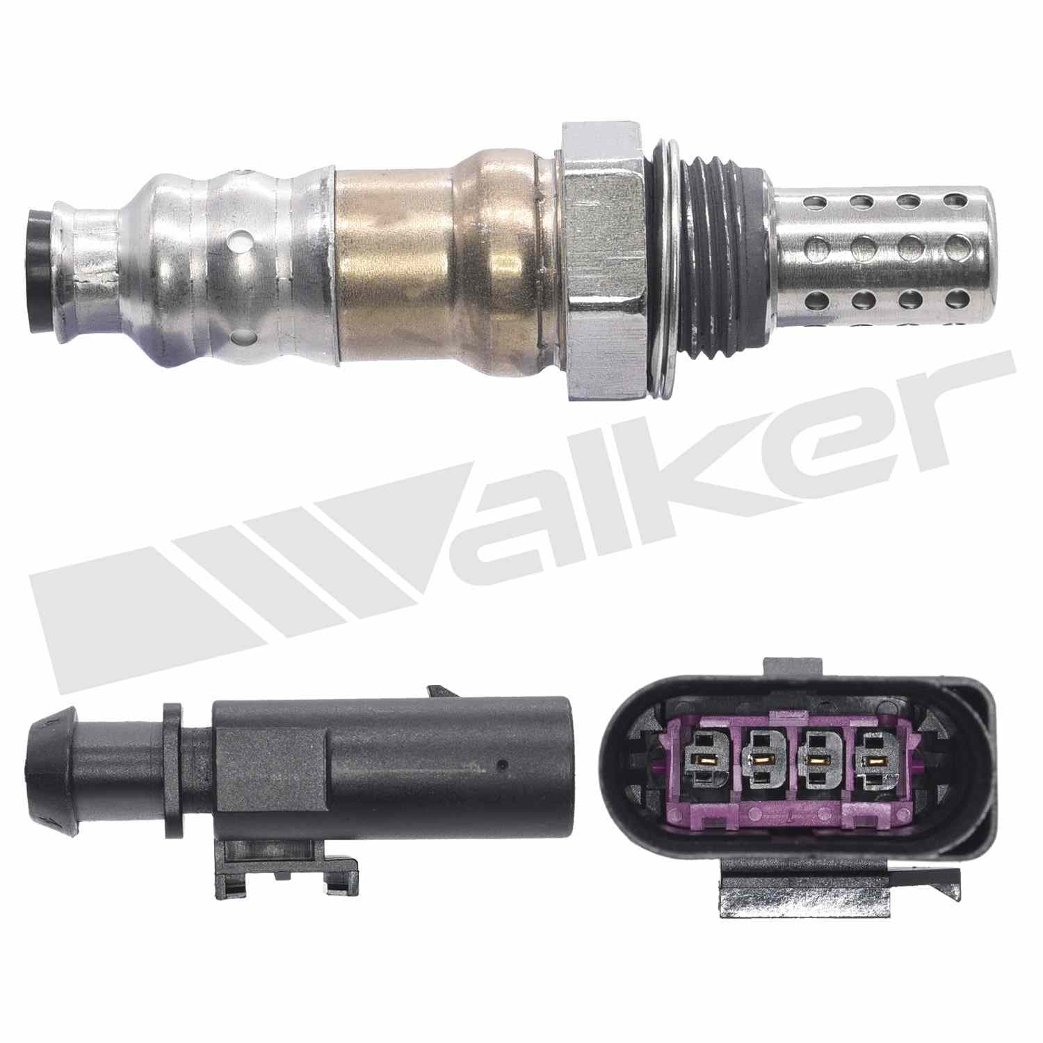 226-250-24955 - Image 2