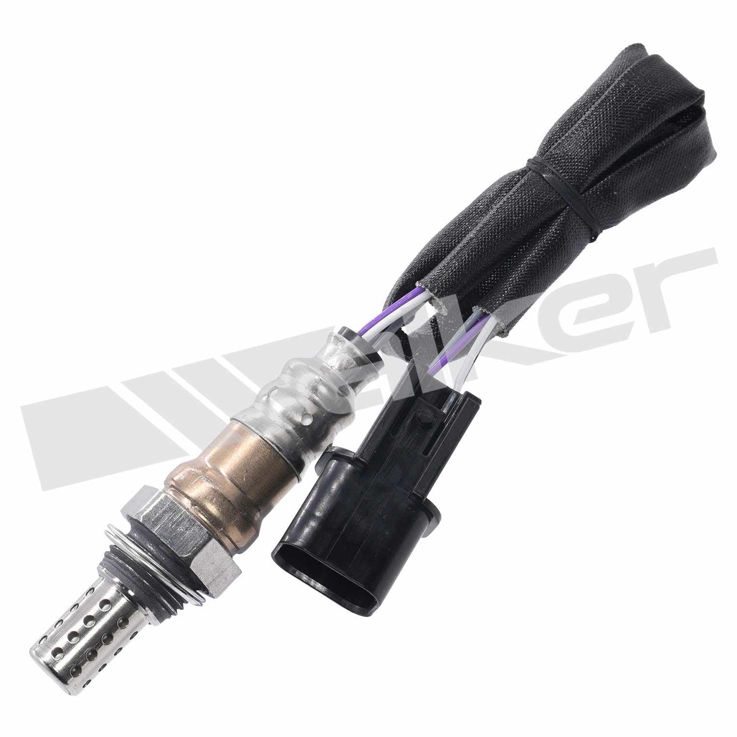 226-250-24988 - Image 2