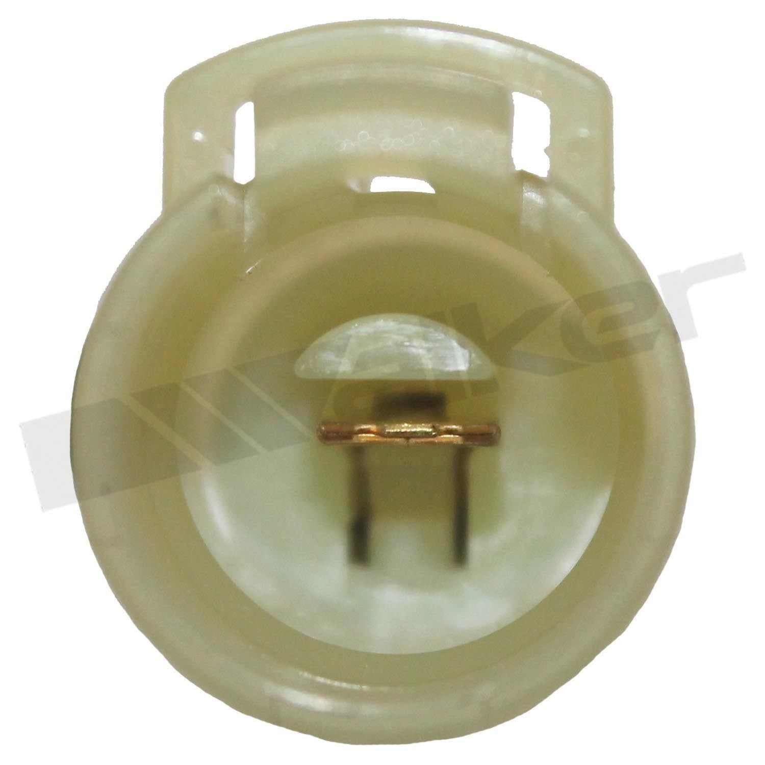 226-350-31007 - Image 3