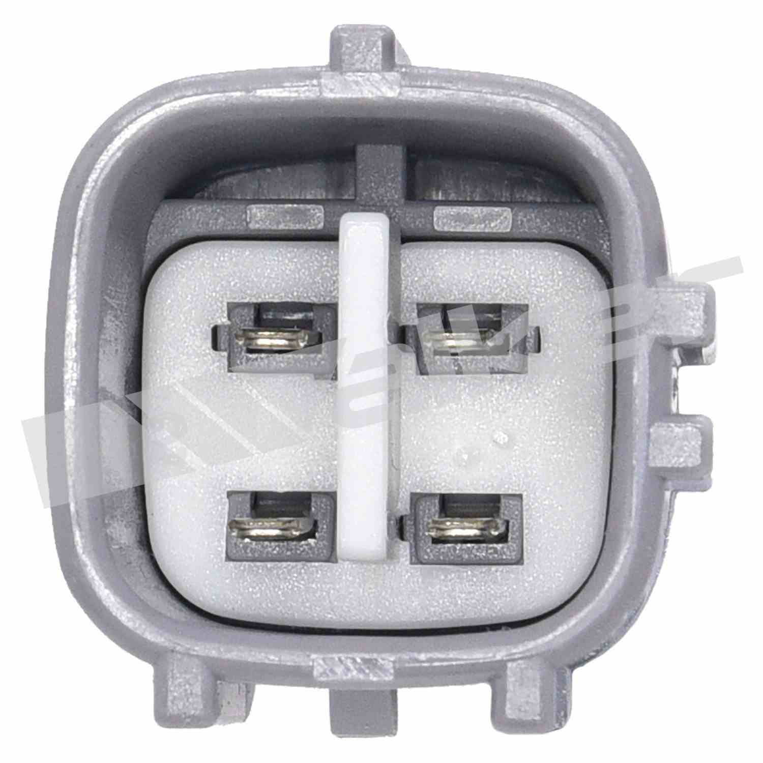 226-350-64031 - Image 4