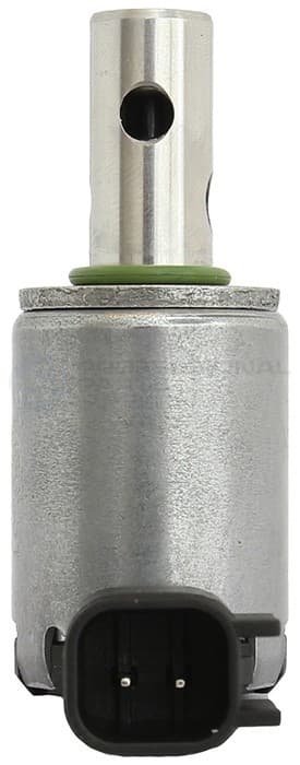 219-21436281 - Image 3