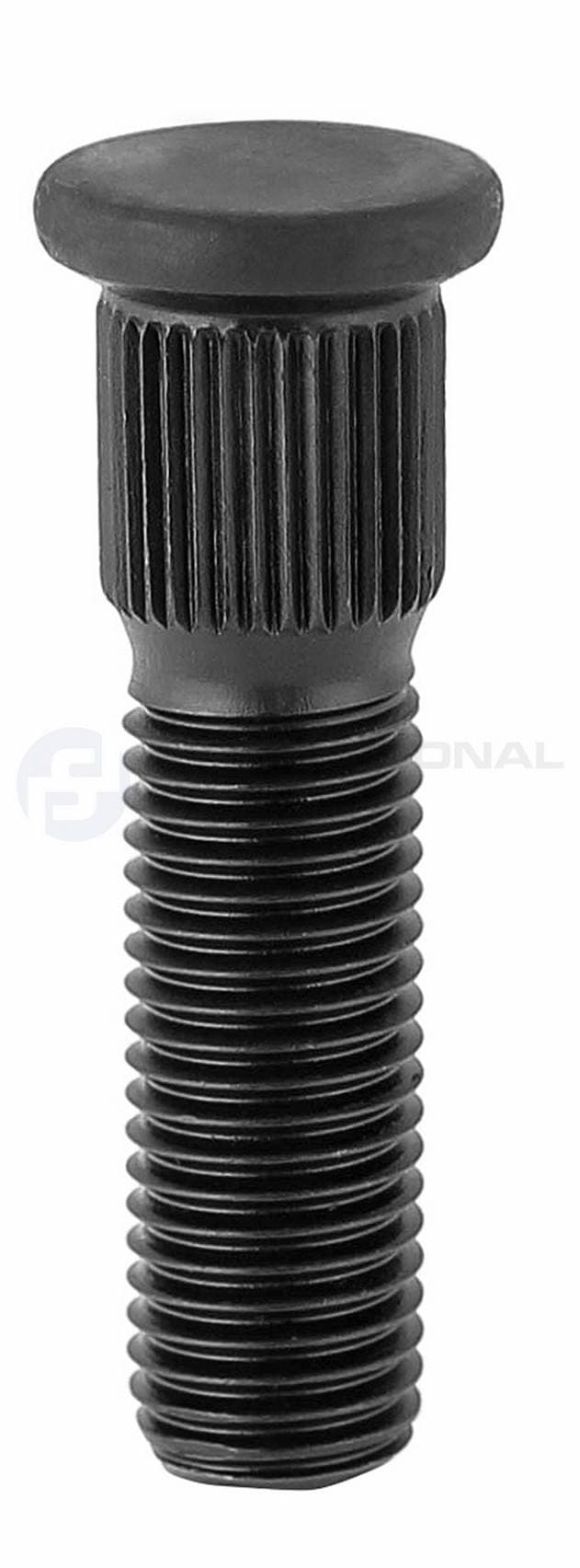 219-61439905 - Image 3