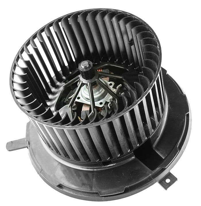 219-87421181 - Image 4