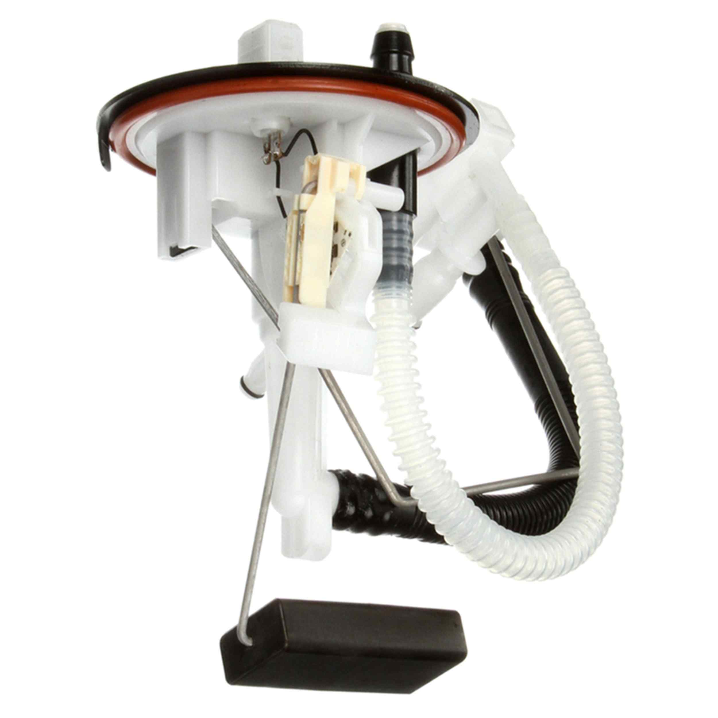 232-221839002004Z - Image 4