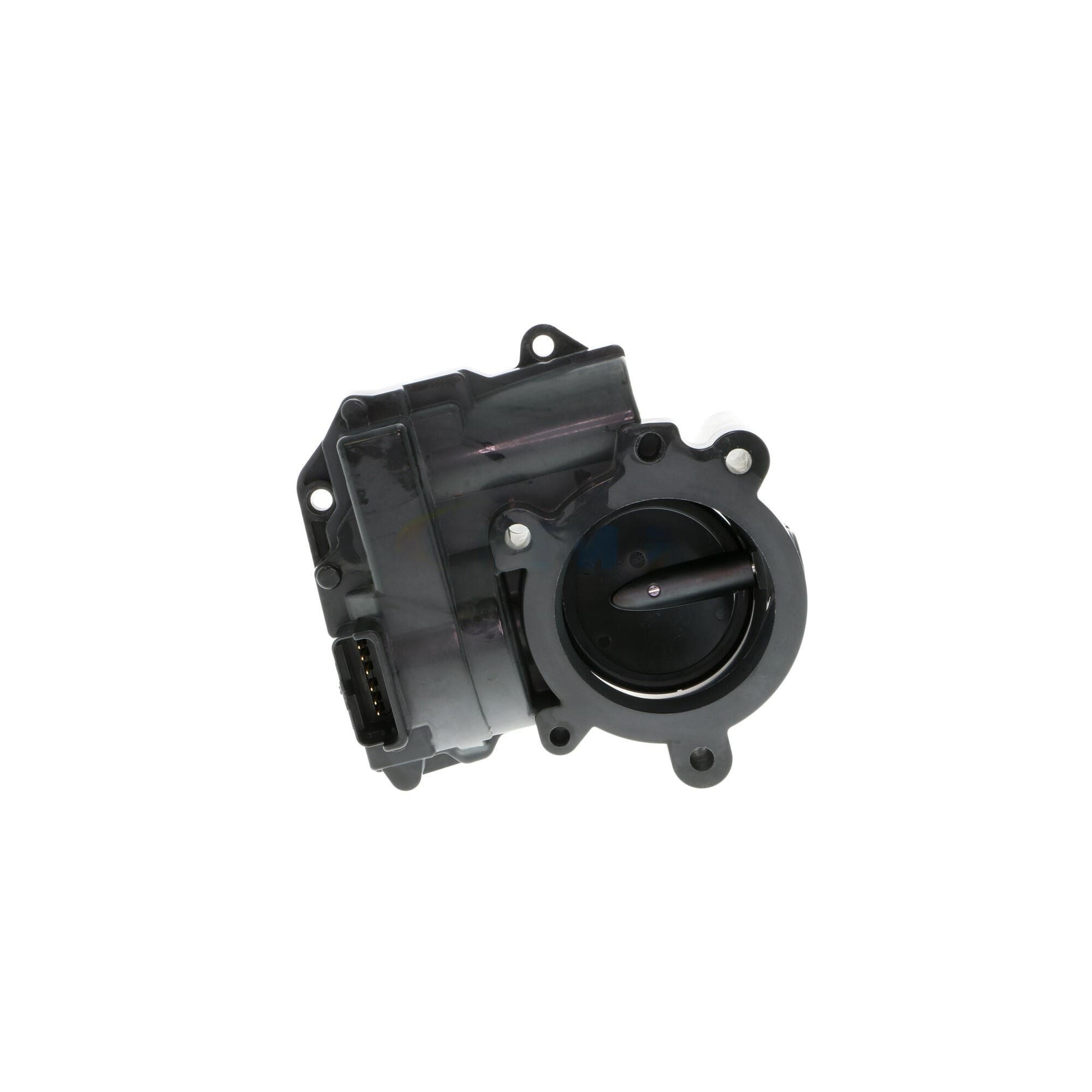 370-V20-81-0019 - Image 4