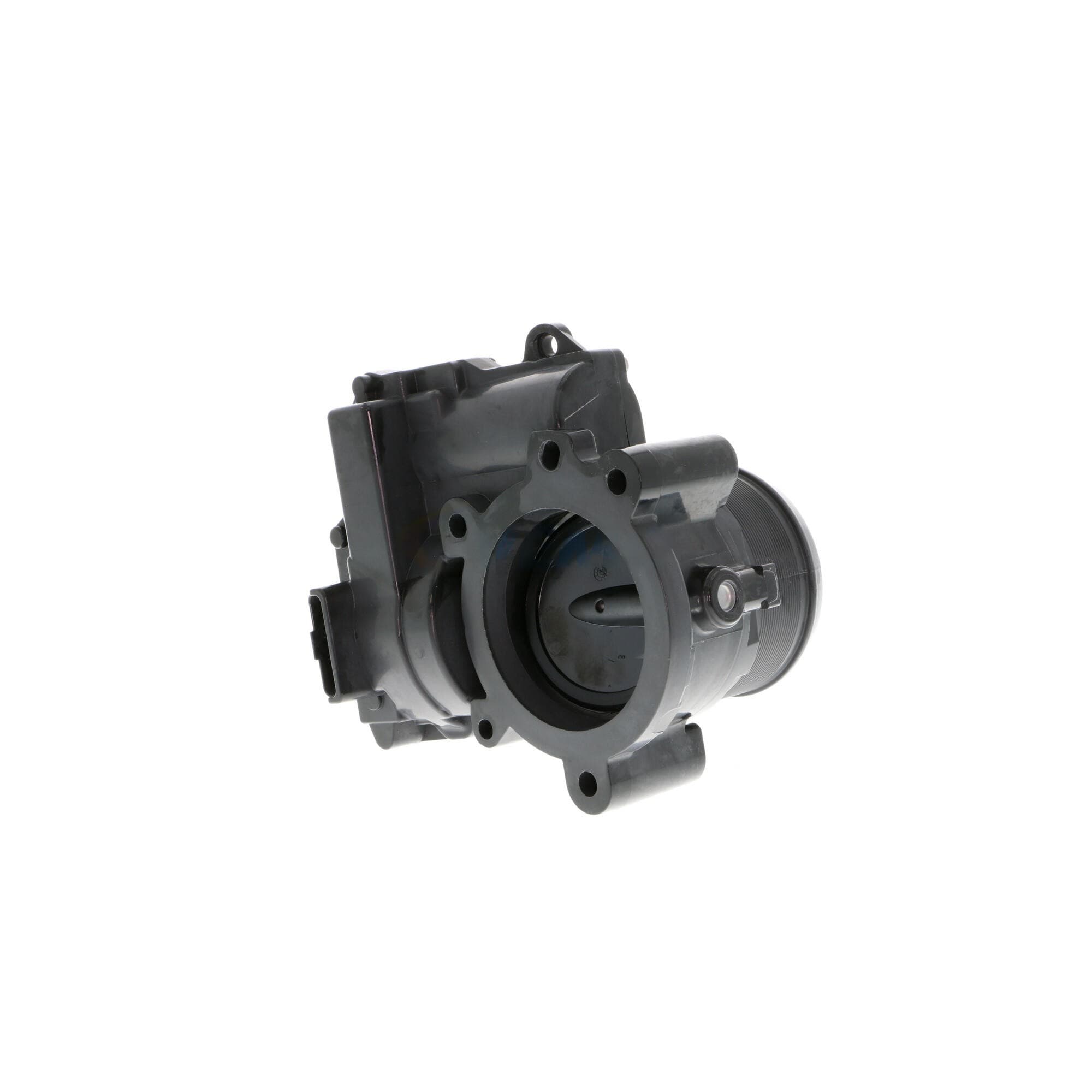 370-V20-81-0019 - Image 4