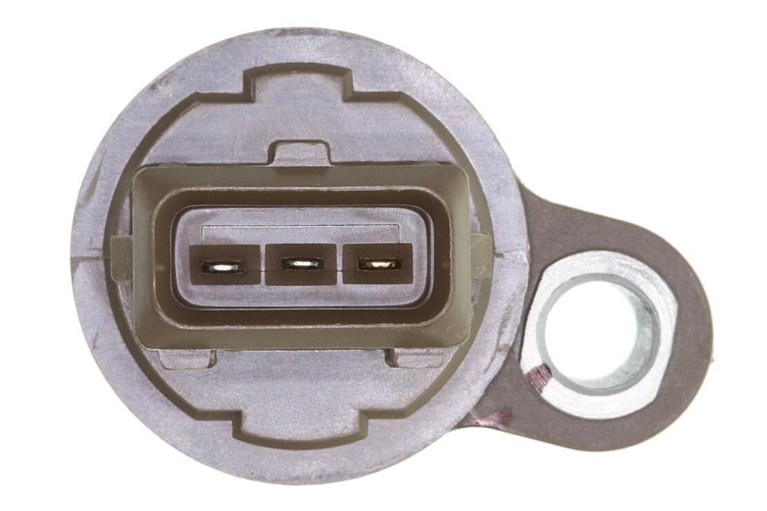 370-V52-72-0121 - Image 3